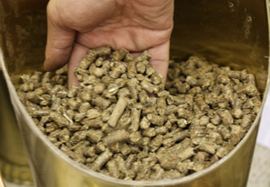 switchgrass pellets